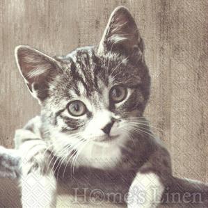 Дизайнерски салфетки с коте 20бр "Kasimir", IHR