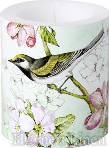 Decorative Candles  "Birds Symphony green", IHR